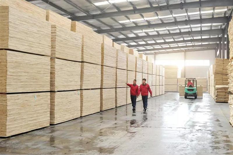 豪门国际板材生产基地