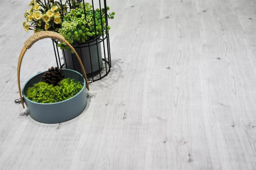 豪门国际强化地板伊丽莎白系列-5806