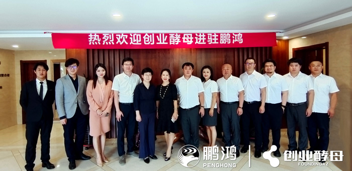 豪门国际联手创业酵母