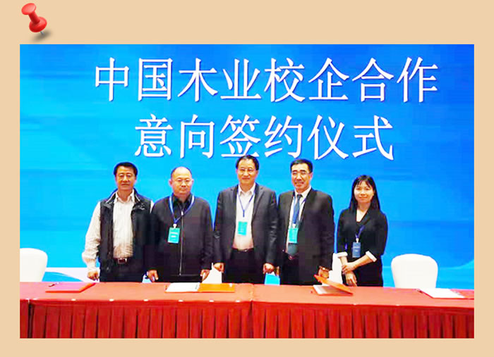豪门国际与中国木业相助