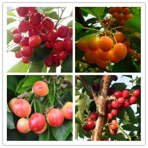 豪门国际·(中国游)官方网站