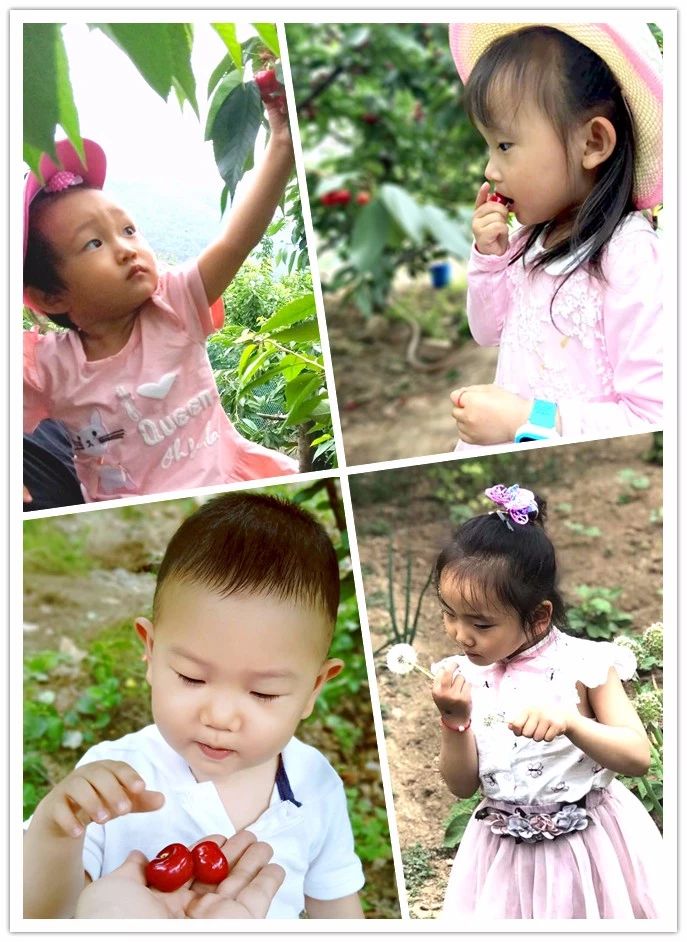 豪门国际·(中国游)官方网站