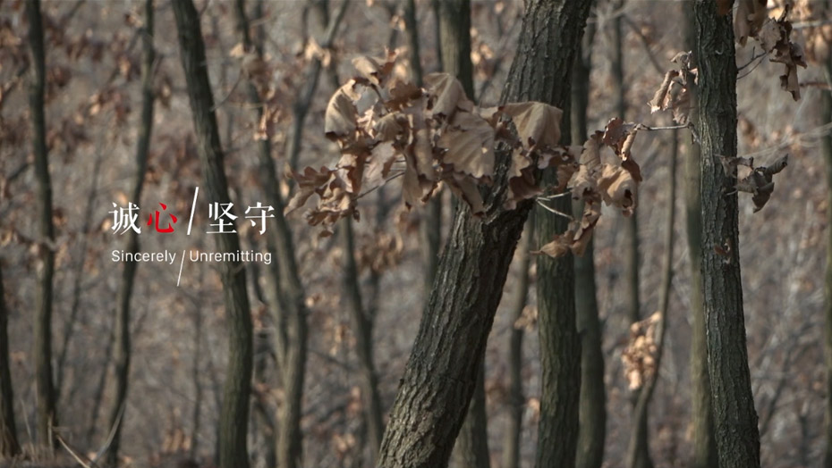 豪门国际·(中国游)官方网站